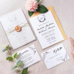 Minimalist vellum wedding invites, rustic wedding invitations, wax seal, Bohemian weddings, spring and fall WS155